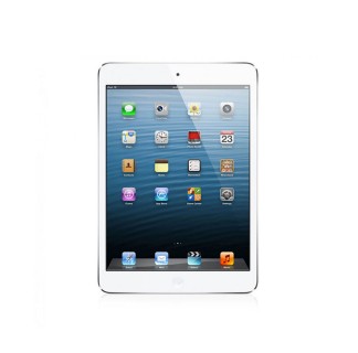 Apple iPad Mini 4G